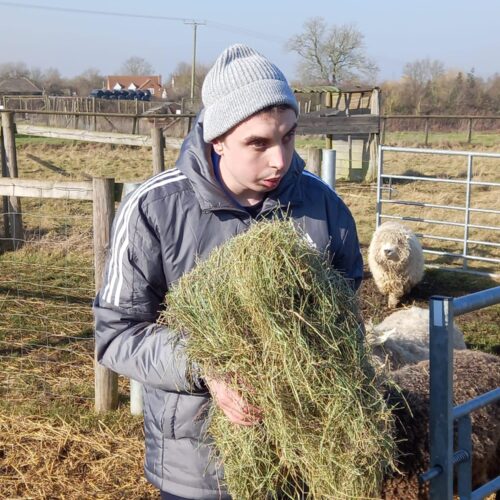 vana farm 3 vana farm 3