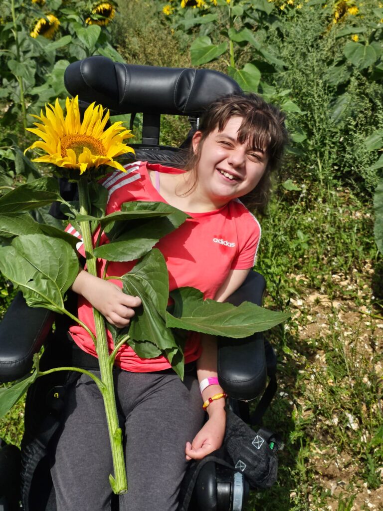 Sunflowers = Sunpowers